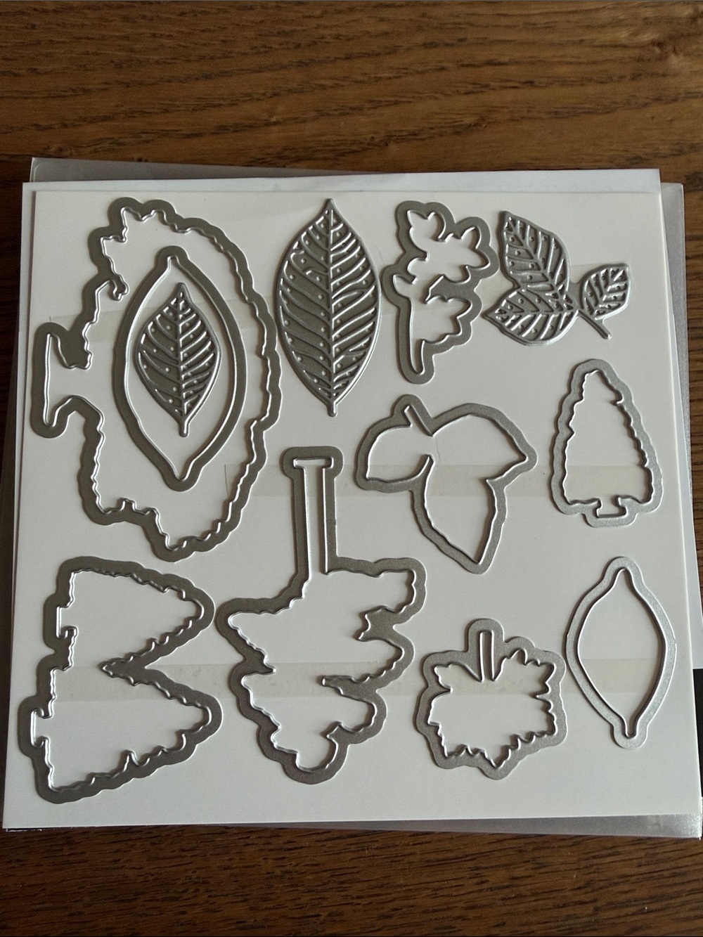 Stampin' Up! Nature’s Roots Framelits Dies - Picture 3 of 3